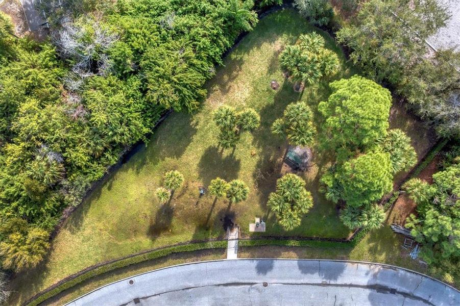 Natural landscape and outdoor views near  in Bradenton (Image 42).