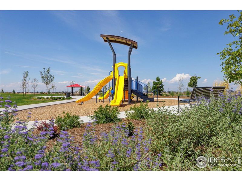 Image 29 of a home in Settlers Crossing.