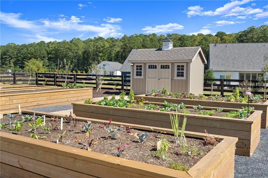 Community amenities in The Reserve at Bells Ferry, Kennesaw (Image 37).