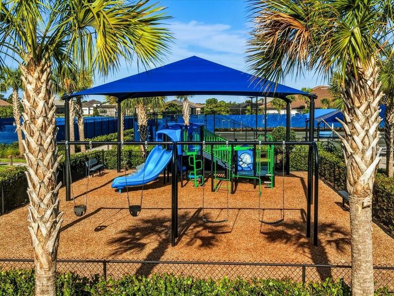 Community amenities in Talon Preserve on Palmer Ranch, Nokomis (Image 50).