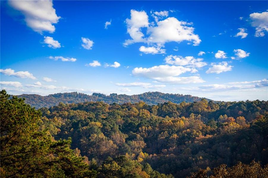 Natural landscape and outdoor views near  in Ellijay (Image 58).