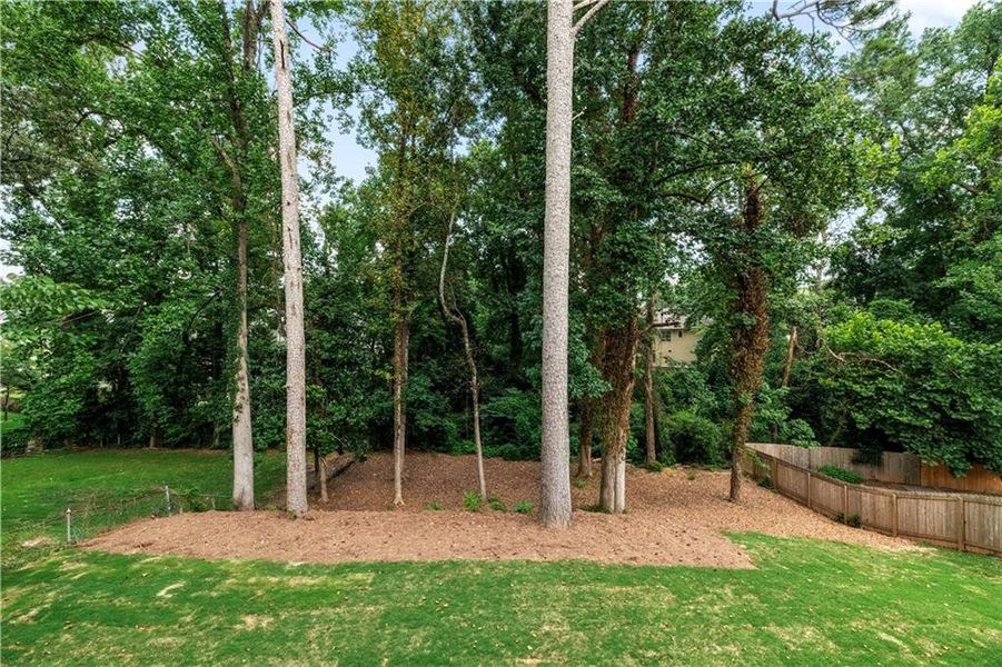 Natural landscape and outdoor views near  in Smyrna (Image 66).