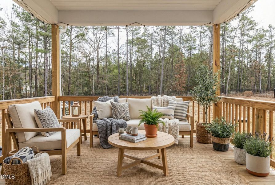 image_version_2 (15)