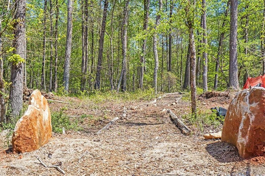 Natural landscape and outdoor views near Aster in Roswell (Image 27).