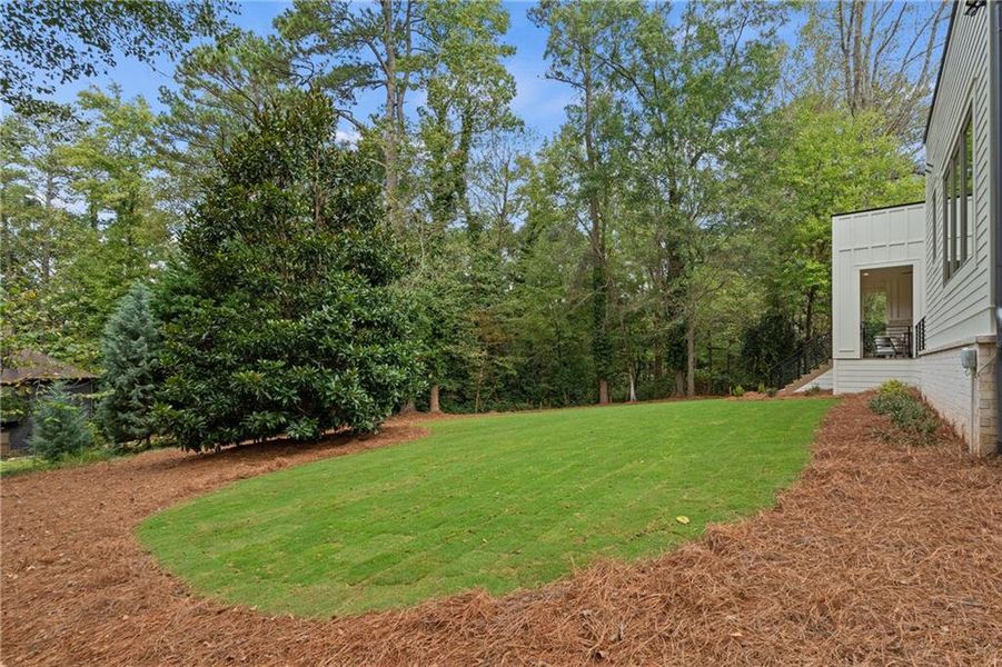 Natural landscape and outdoor views near  in Roswell (Image 75).