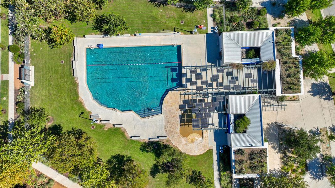 Bird's eye view of a pool area