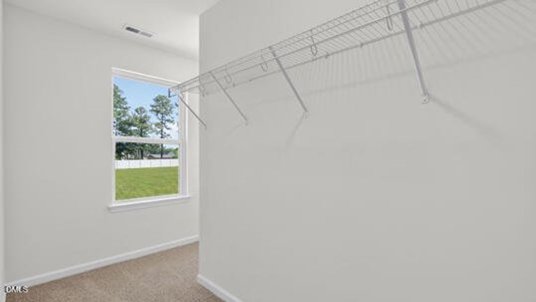 Belle Grove_Darwin A3_83_Gray_SPEC-032