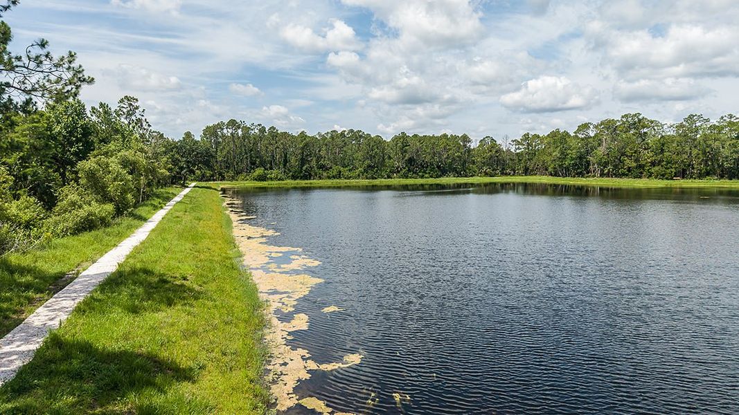 Natural landscape and outdoor views near Ardisia Park in New Smyrna Beach (Image 18).