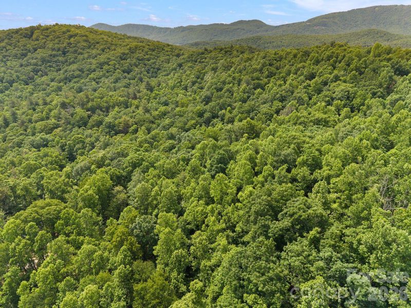 Natural landscape and outdoor views near  in Hendersonville (Image 7).
