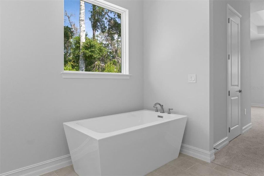 Image 59 of a home in Southern Hills Plantation.