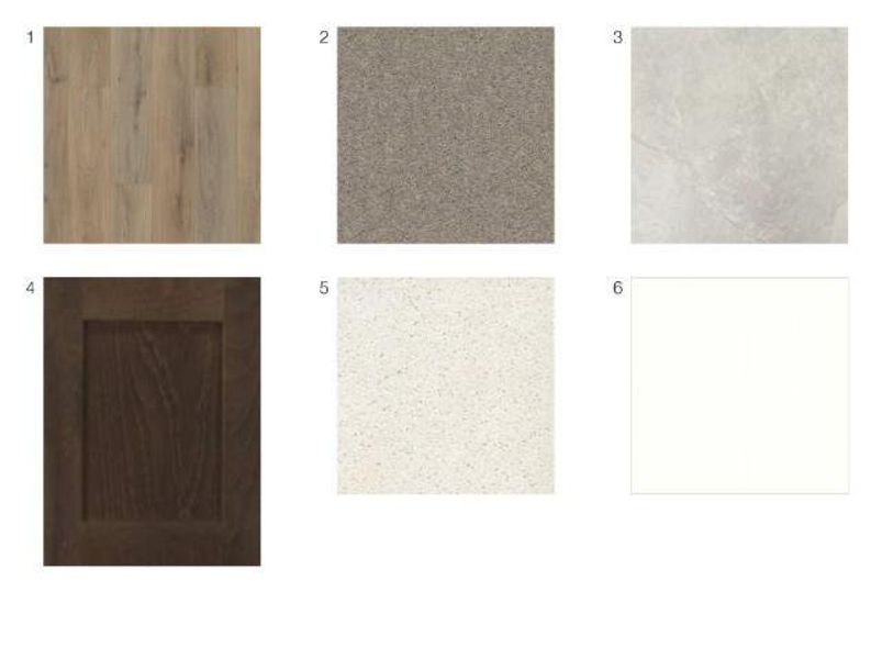 9643 Akashi Run Drive design selections! This home is currently under construction and selections are subject to change!
