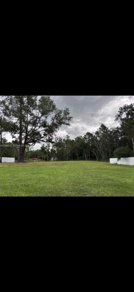 Natural landscape and outdoor views near  in Dunnellon (Image 16).