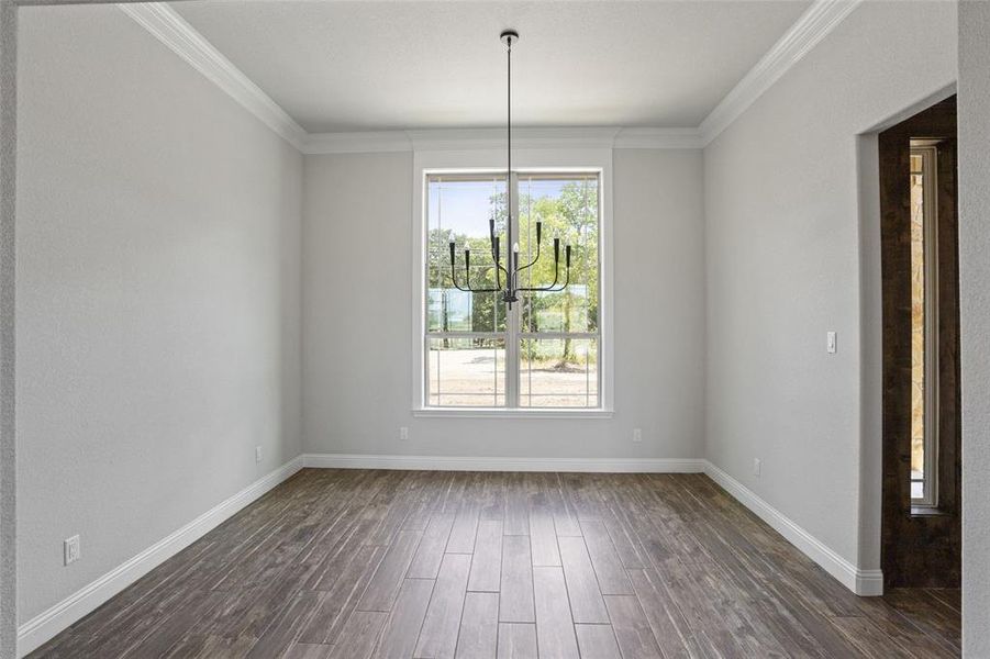 Spare room featuring dark wood-type flooring, ornamental molding, and a healthy amount of sunlight