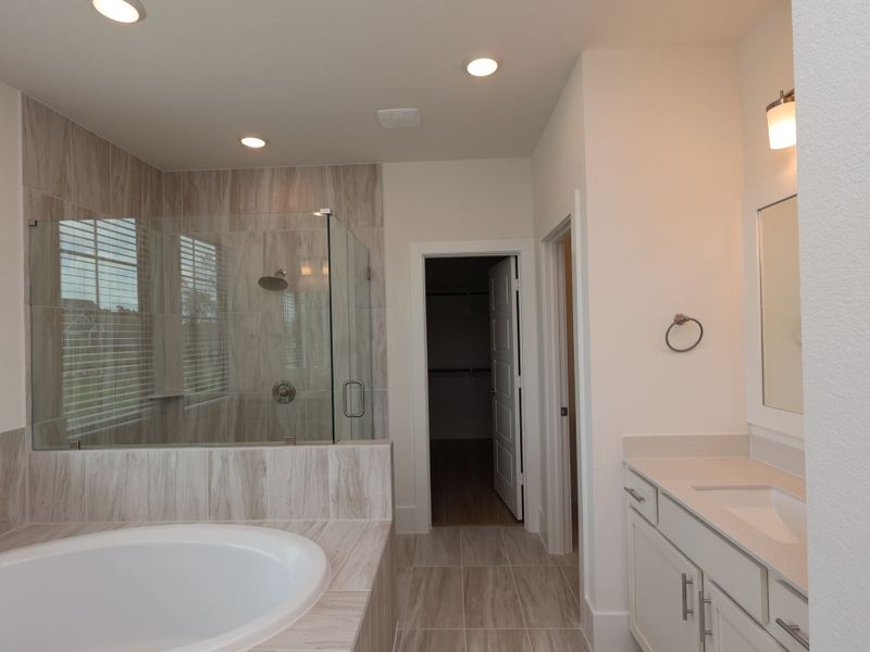 Owner's Bathroom