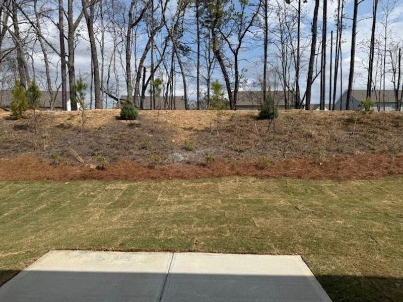 Natural landscape and outdoor views near Parkside at Carter Grove in Cartersville (Image 38). Natural landscape and outdoor views near Parkside at Carter Grove in Cartersville (Image 38).