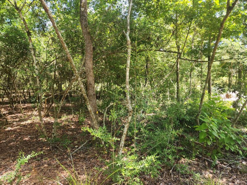 Natural landscape and outdoor views near in Coldspring (Image 40). Natural landscape and outdoor views near in Coldspring (Image 40).