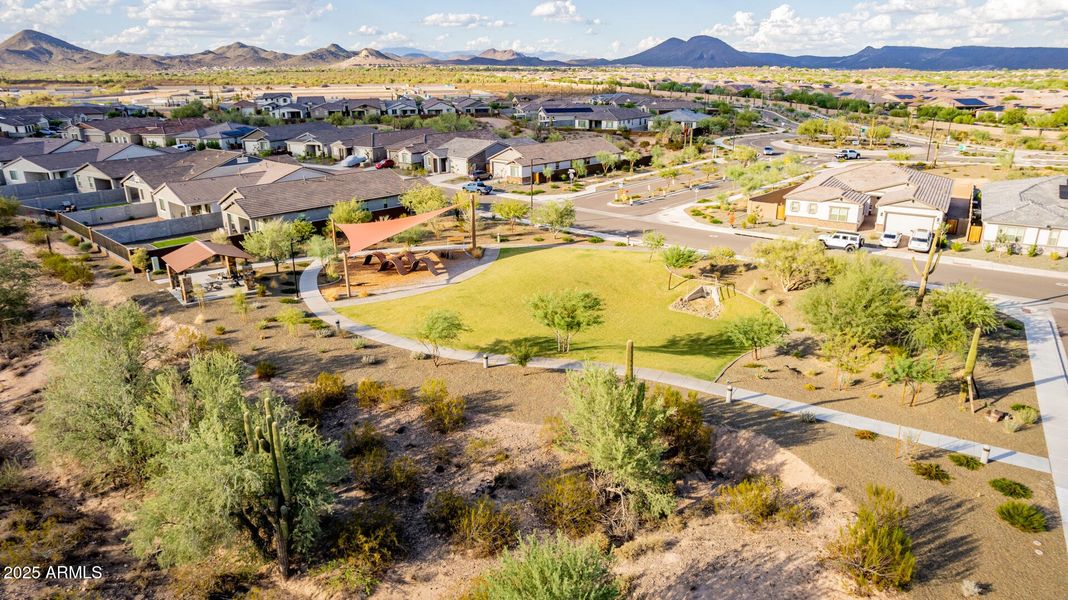 65 - Steed Ridge 13626