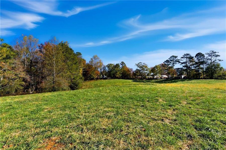 Natural landscape and outdoor views near  in Alpharetta (Image 10).