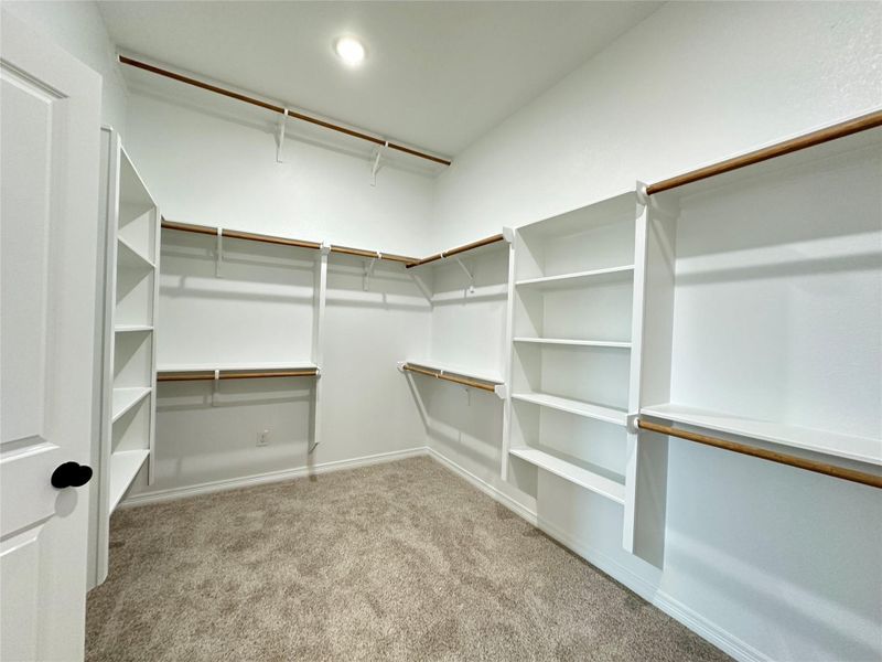 Spacious closet featuring light colored carpet