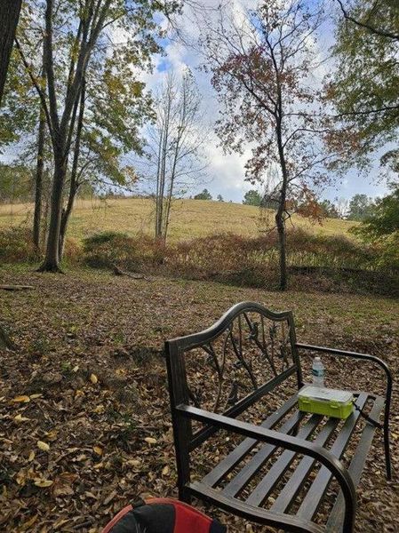 Natural landscape and outdoor views near  in Bowdon (Image 44).