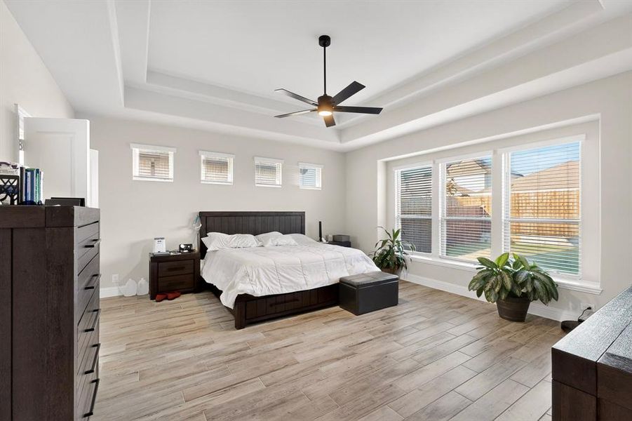 Bedroom with a raised ceiling, light wood-style floors, multiple windows, and a ceiling fan Bedroom with a raised ceiling, light wood-style floors, multiple windows, and a ceiling fan