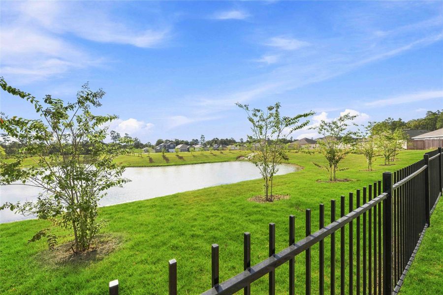 Natural landscape and outdoor views near Crockett Meadows in Conroe (Image 27).