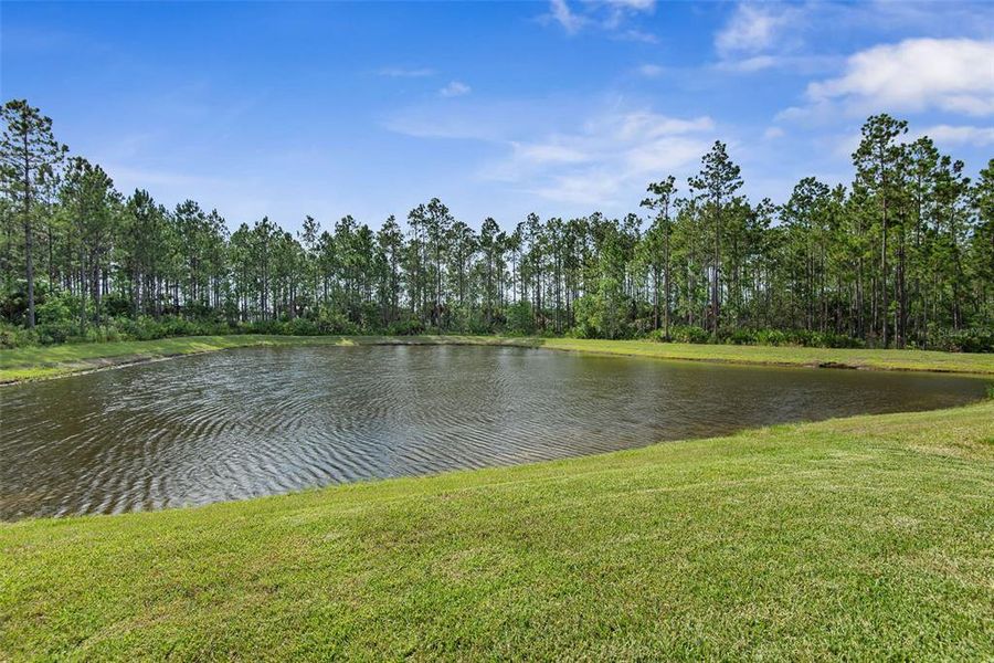 Natural landscape and outdoor views near Seminole Palms in Palm Coast (Image 45).