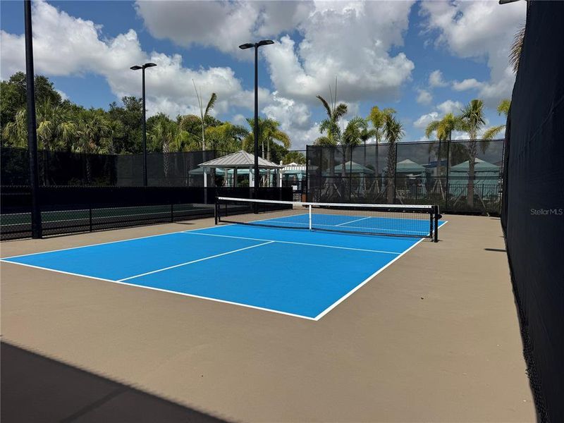 Community amenities in Prosperity Lakes, Parrish (Image 28).