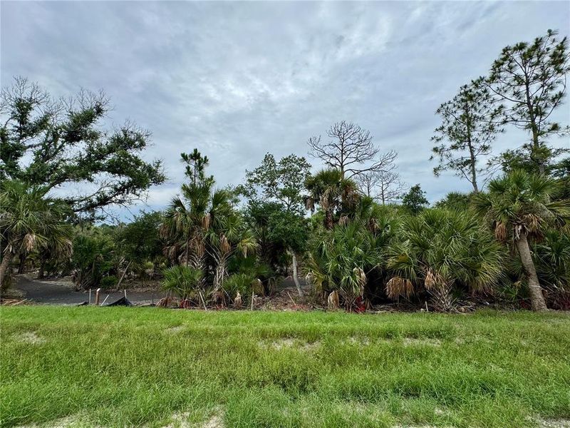 Natural landscape and outdoor views near Grand Park in Sarasota (Image 30). Natural landscape and outdoor views near Grand Park in Sarasota (Image 30).