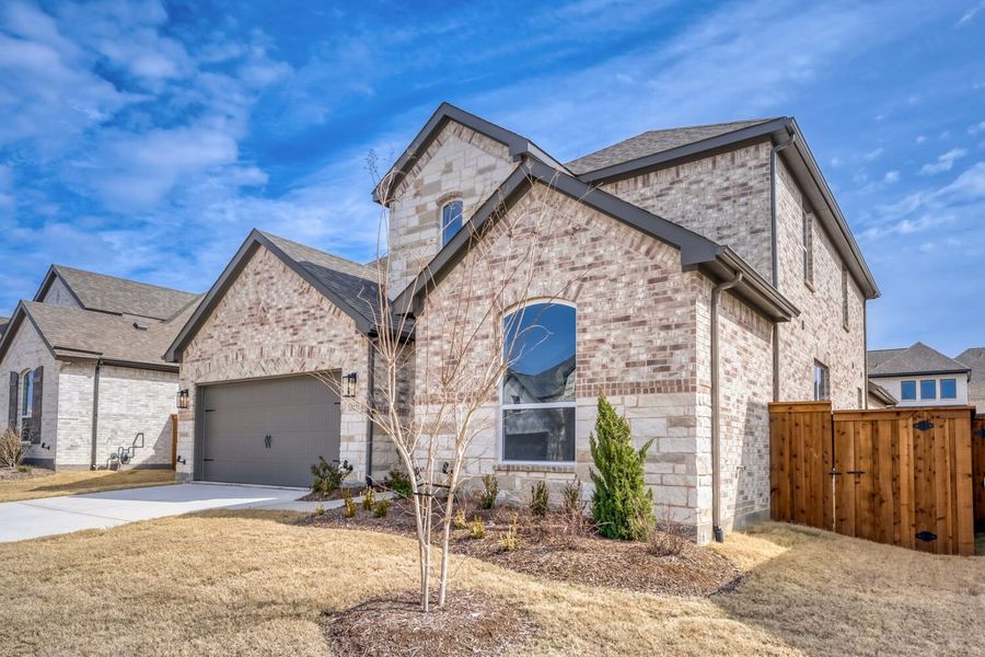 3121 Lacebark - Front Elevation