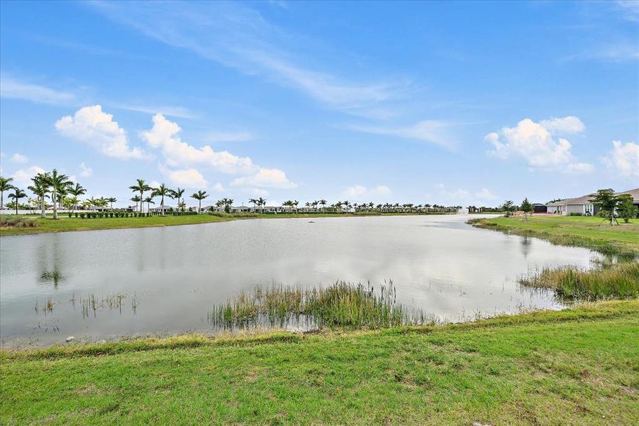 Natural landscape and outdoor views near  in Venice (Image 52).