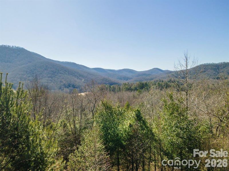 Natural landscape and outdoor views near  in Horse Shoe (Image 4).