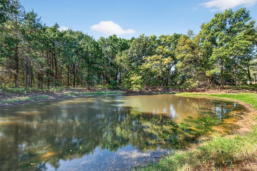 Natural landscape and outdoor views near  in Sadler (Image 33).