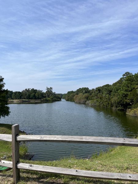 Natural landscape and outdoor views near  in Johns Island (Image 20).