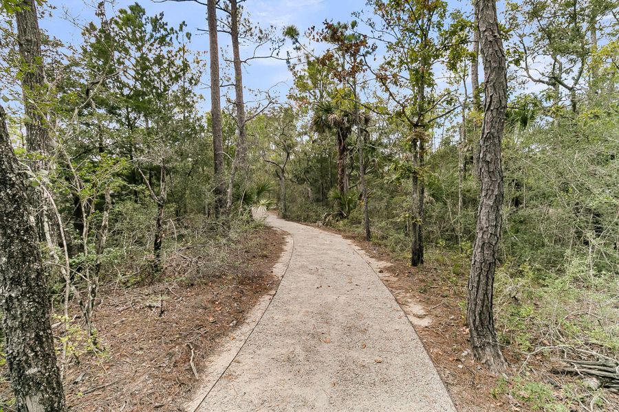 Natural landscape and outdoor views near  in Charleston (Image 43).