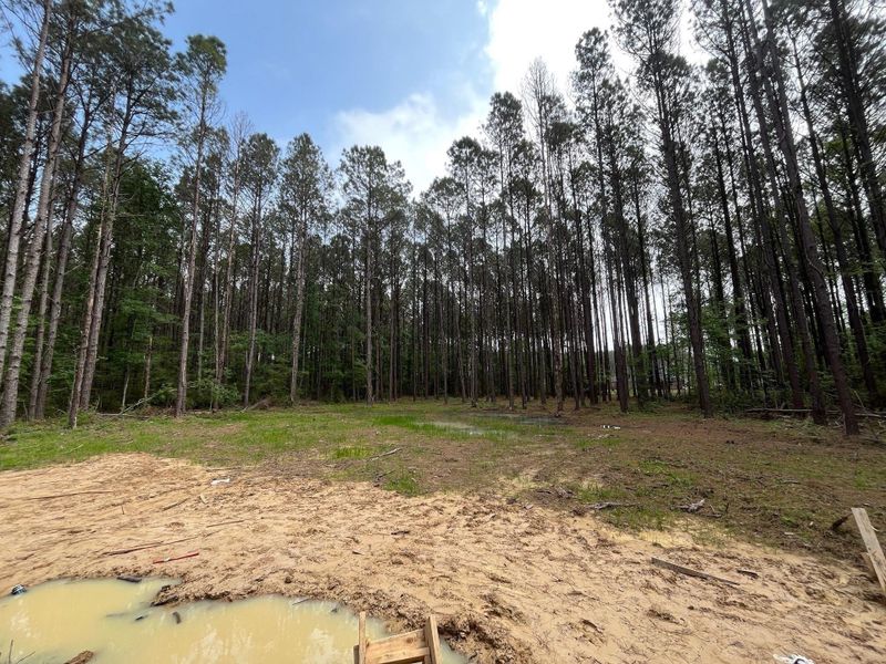 Natural landscape and outdoor views near Encino Estates in Dayton (Image 14).