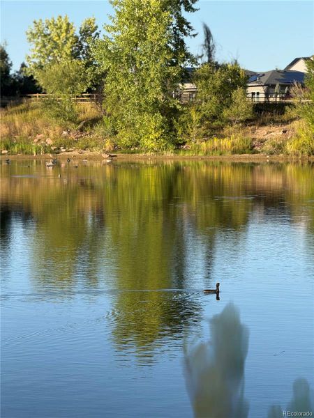 Image 23 of a home in . Image 23 of a home in .