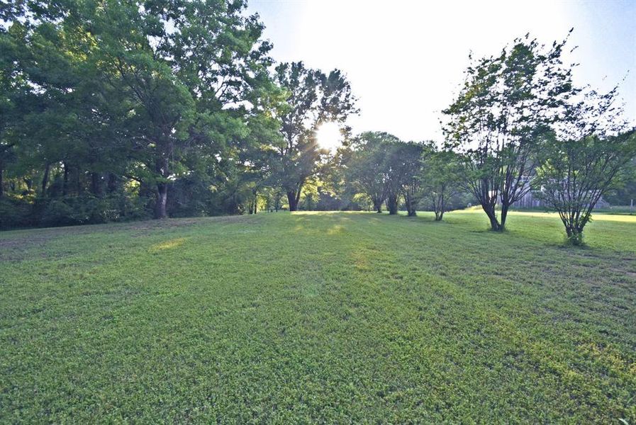 Natural landscape and outdoor views near  in Yantis (Image 30).