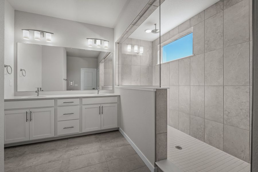 Owner's Bath