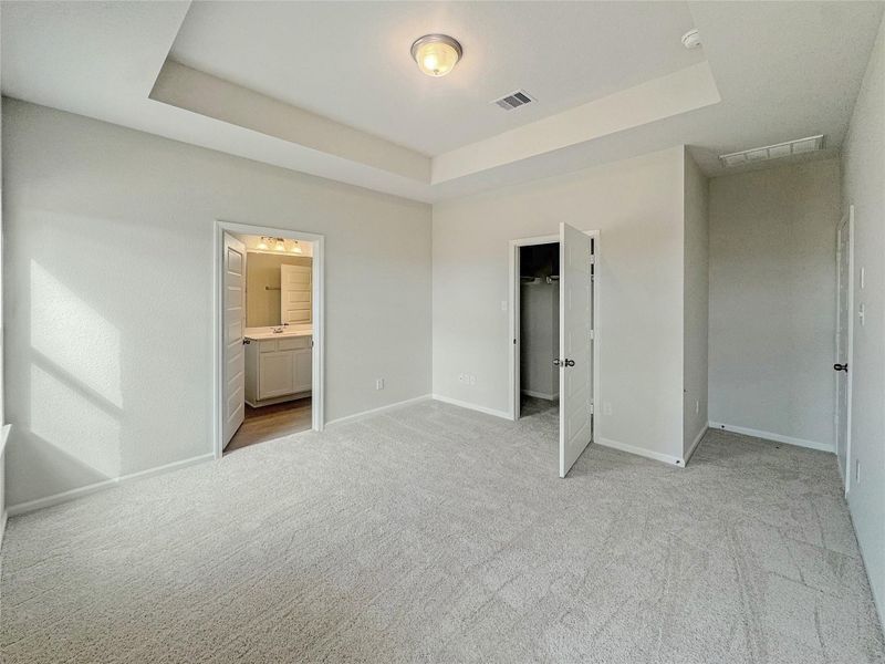 The Piedmont- Primary Bedroom with Tray Ceiling The Piedmont- Primary Bedroom with Tray Ceiling