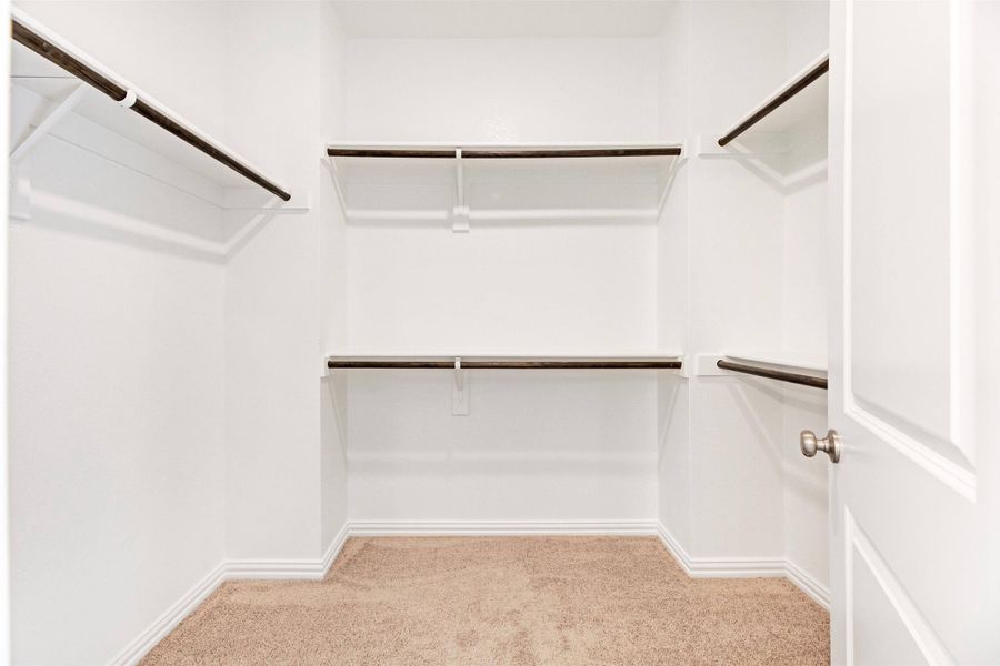 Brown Townhome Walk in closet by Ashton Woods