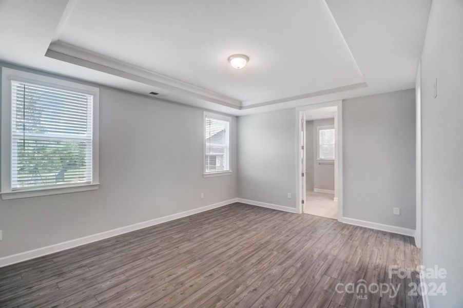 Owner's Suite with Tray Ceiling