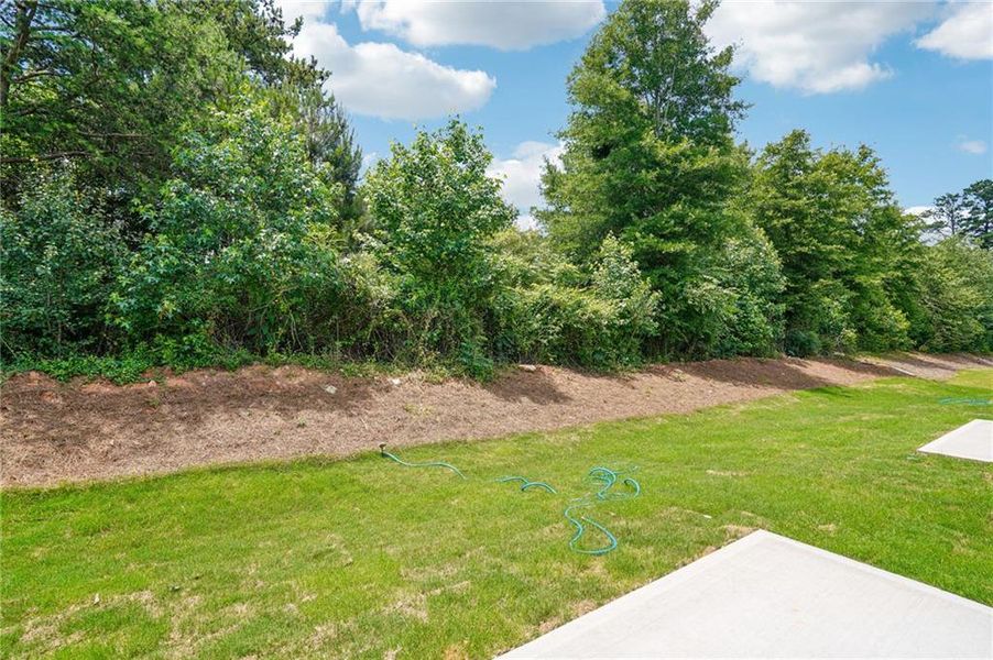 Natural landscape and outdoor views near Artisan Walk in Fairburn (Image 30).