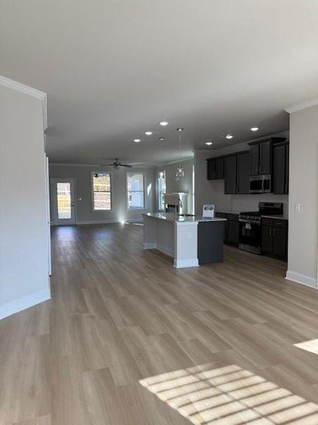 Spacious, unfurnished interior of a new home in Cooper's Walk, Loganville (Image 19).