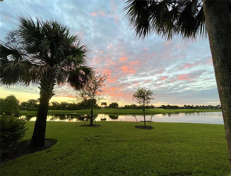 Natural landscape and outdoor views near  in Punta Gorda (Image 61).