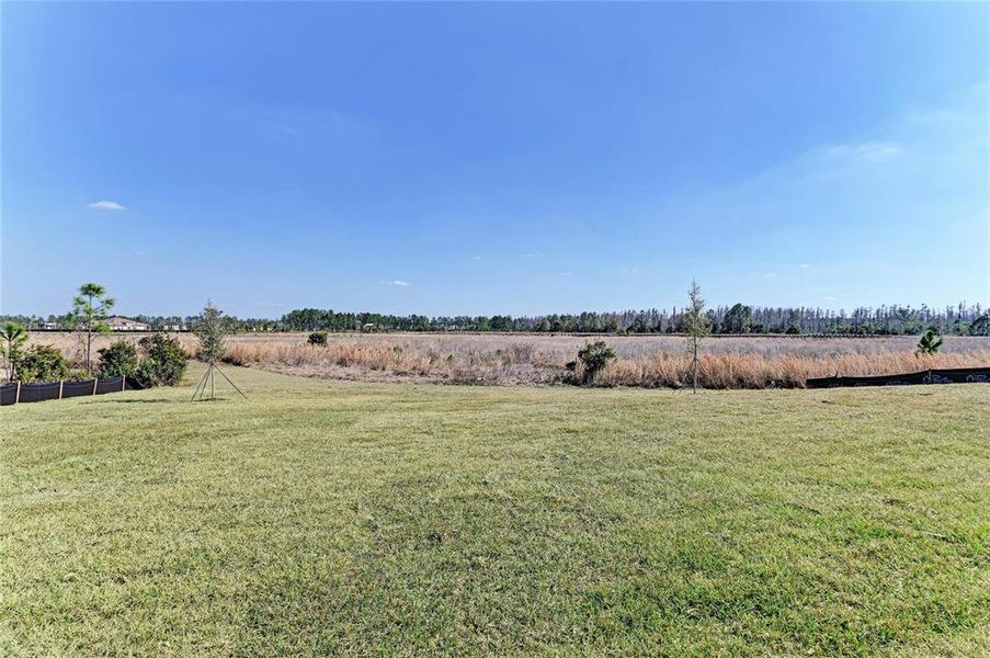 Natural landscape and outdoor views near Two Rivers in Zephyrhills (Image 39).