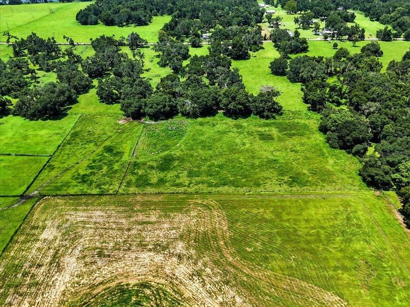 Natural landscape and outdoor views near  in Dade City (Image 25).