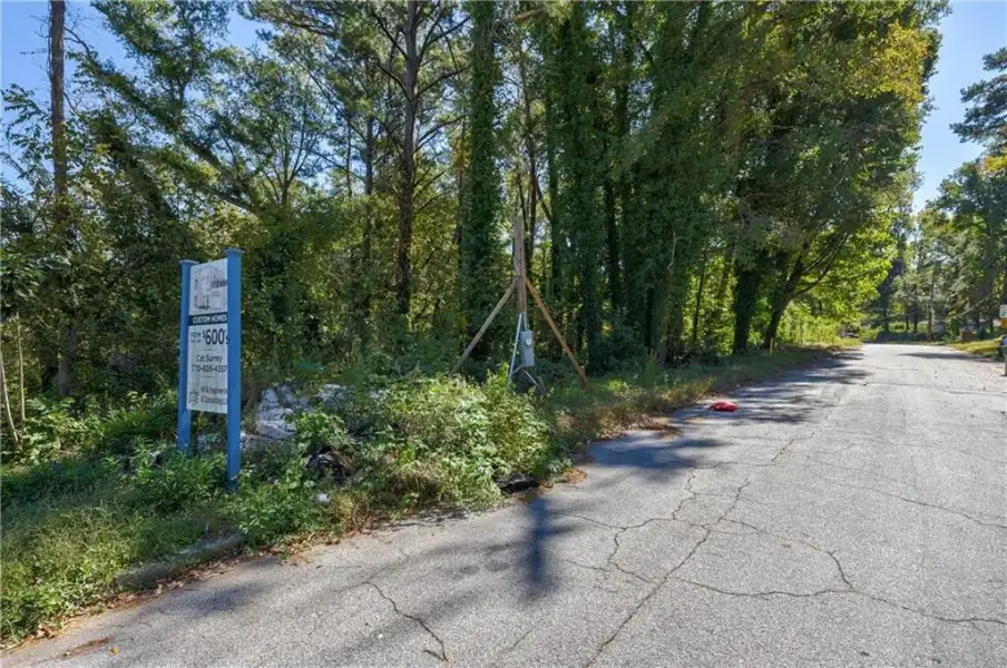 Natural landscape and outdoor views near  in Hapeville (Image 41).