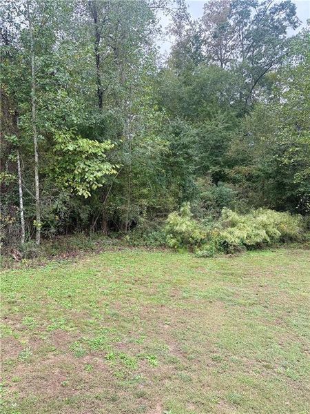 Natural landscape and outdoor views near  in Carrollton (Image 18).