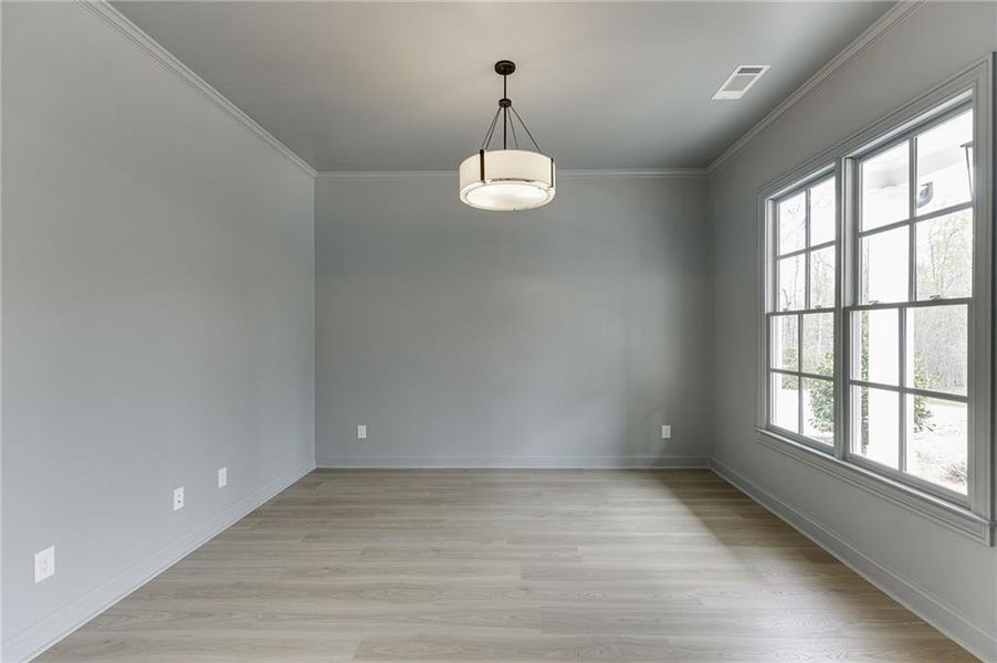 Spacious, unfurnished interior of a new home in , Cumming (Image 35).
